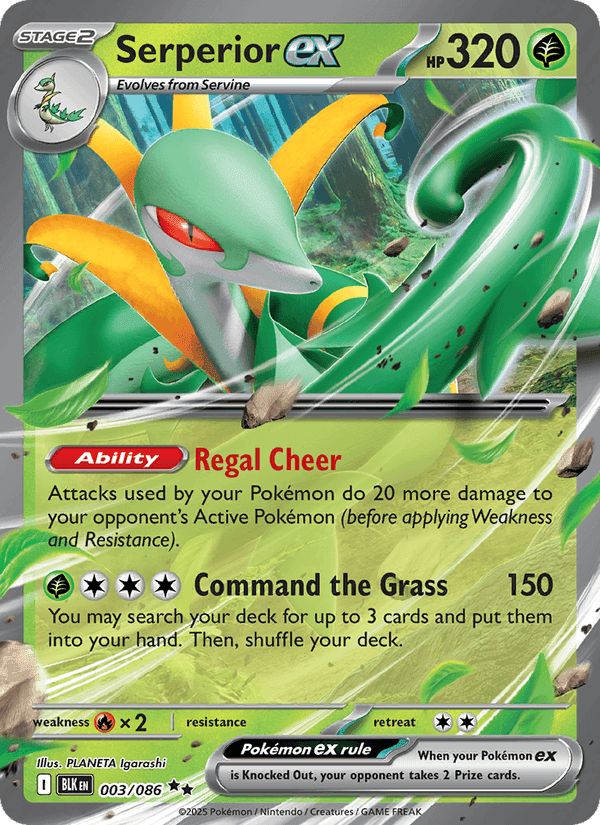 Serperior EX from BLACK BOLT 2025 graded card