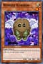 Winged Kuriboh from DUELIST PACK 1 2006